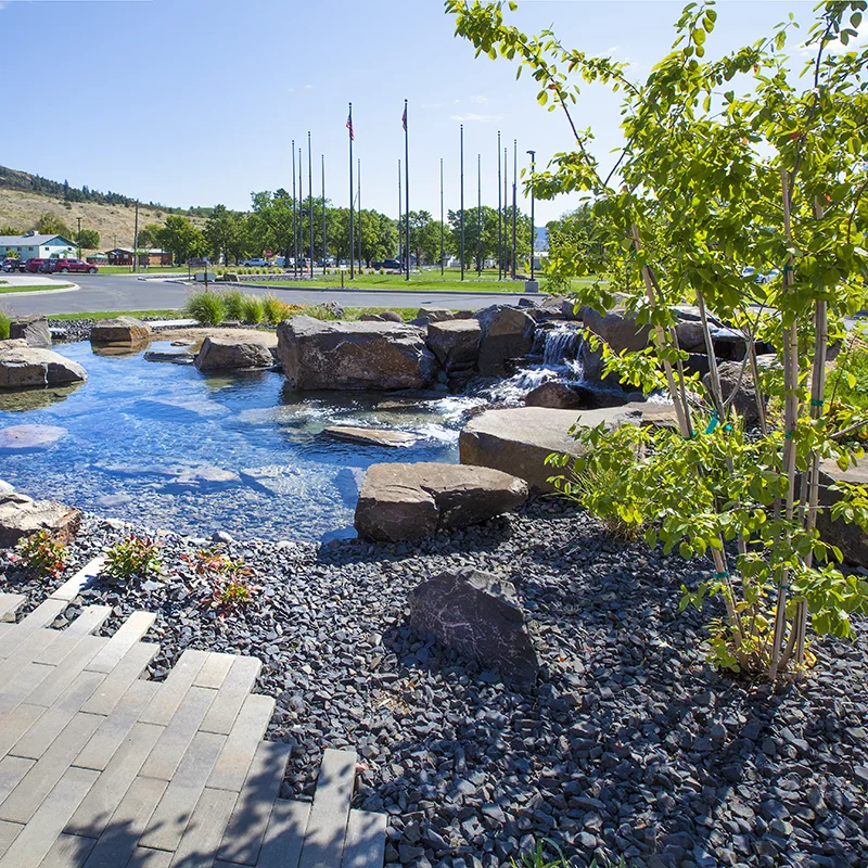 Landscape and Irrigation